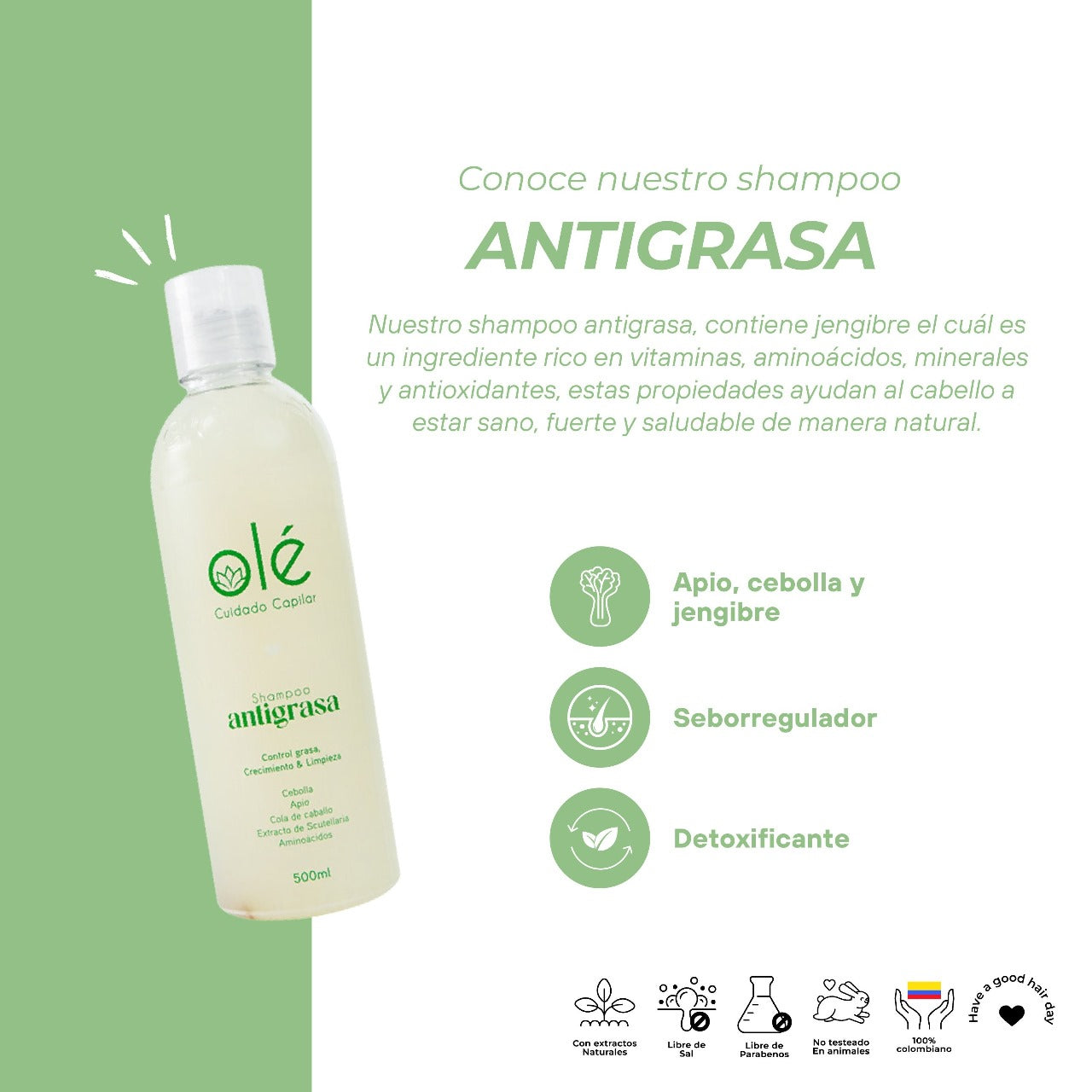 Shampoo antigrasa