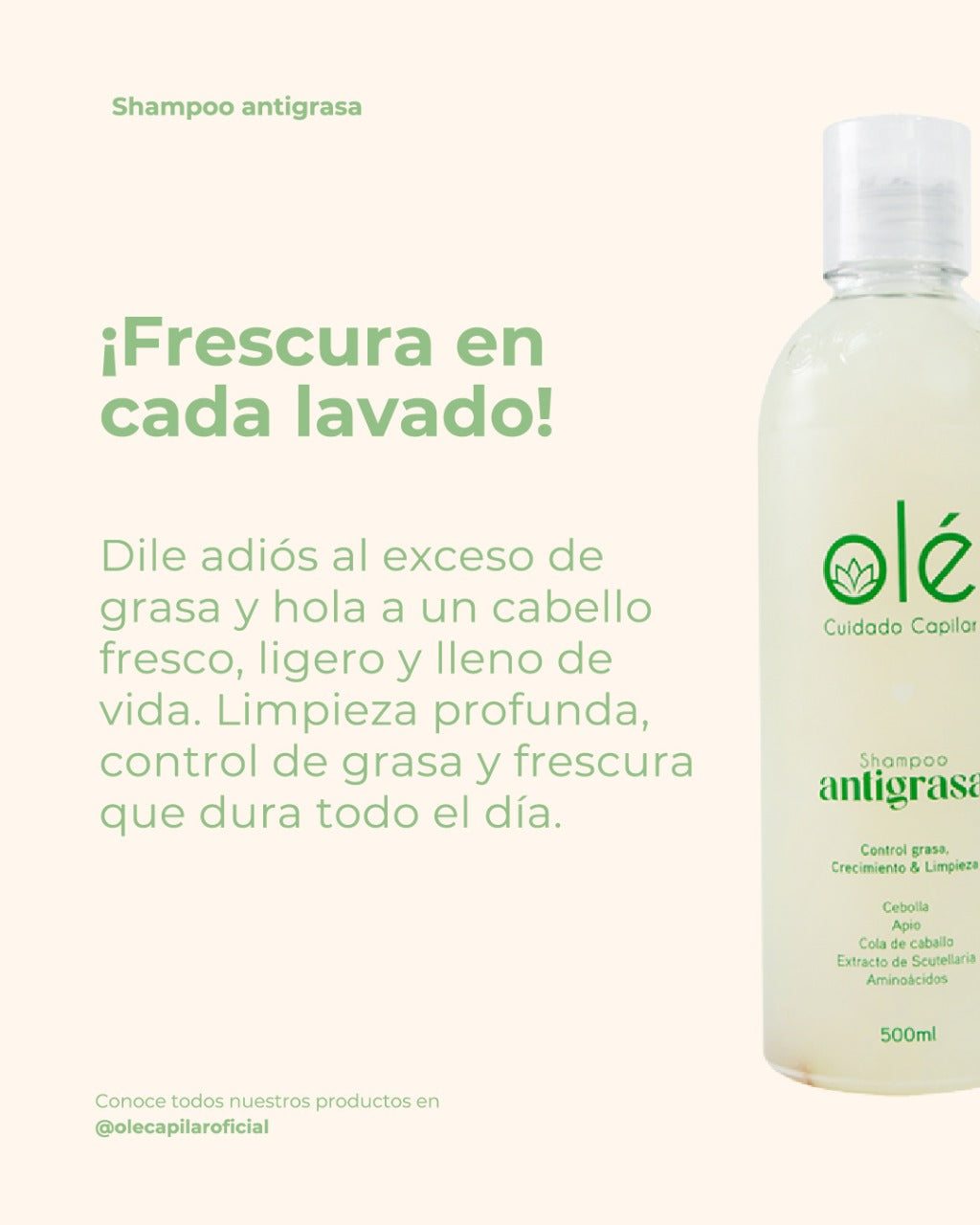 Shampoo antigrasa