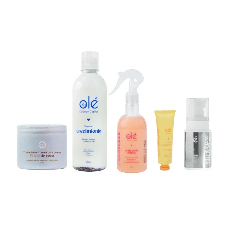 ANTI-FRIZZ BUNDLE